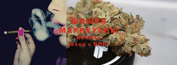 не бодяженный Дмитров