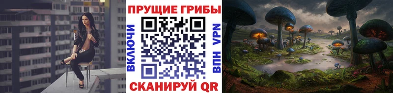 Галлюциногенные грибы GOLDEN TEACHER  где продают   Старый Оскол 
